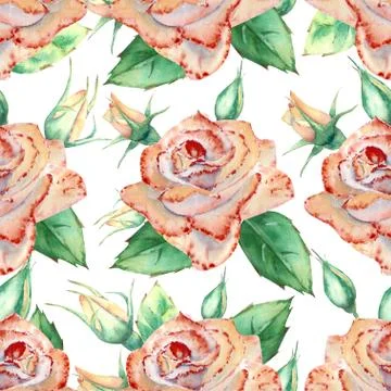 Seamless pattern with peach roses. Peach roses, green leaves Stock Illustration