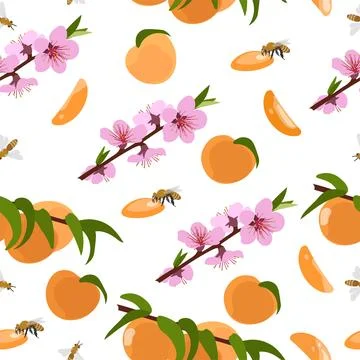 Seamless pattern of peaches and flowering branches. Vector illustration on a Stock Illustration