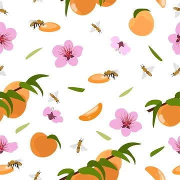 Seamless pattern of peaches and flowers. Vector illustration on a white backg Stock Illustration