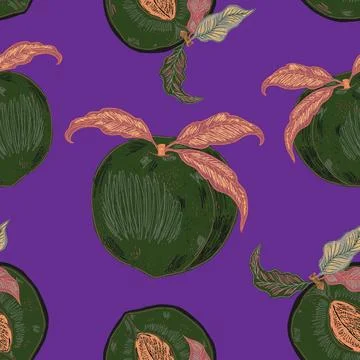 Seamless pattern with peaches and leaves in a hand-drawn line-art style. Insp Stock Illustration