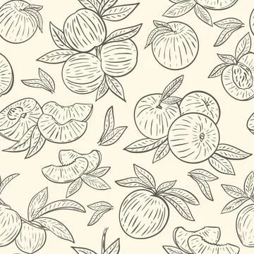 Seamless pattern with peaches vector. Sketch. Stock Illustration