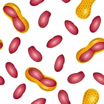 Seamless pattern with peanut, groundnut on a white background. Stock Illustration