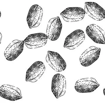 Seamless pattern peanut nut food dried sketch hand drawn Stock Illustration