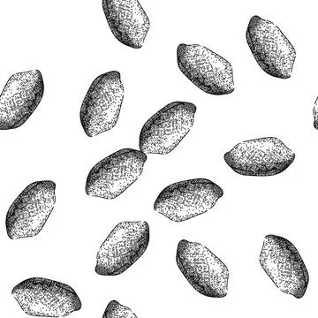 Seamless pattern peanut nut food delicious sketch hand drawn Stock Illustration