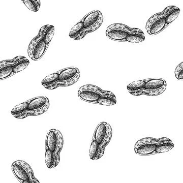 Seamless pattern peanut nut food sketch hand drawn Stock Illustration