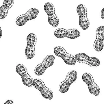 Seamless pattern peanut nut food nutrition sketch hand drawn Stock Illustration