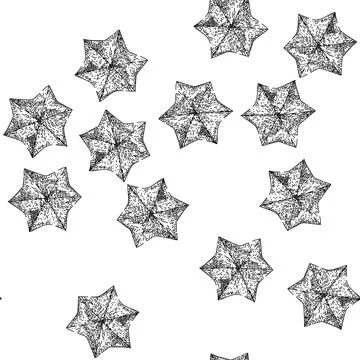 Seamless pattern peanut sacha inchi sketch hand drawn Stock Illustration