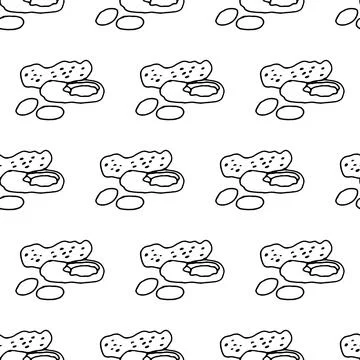 Seamless pattern with peanuts. Contour drawing vector illustration. Stock Illustration