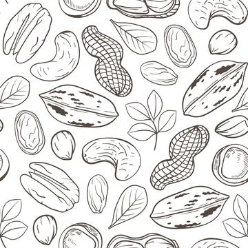Seamless pattern with pecan nuts, cashew and peanuts. Stock Illustration