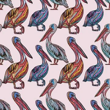 Seamless pattern with pelicans. Stock Illustration