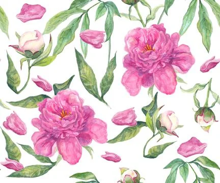 Seamless pattern with peonies flowers and leaves. Hand drawn Stock Illustration