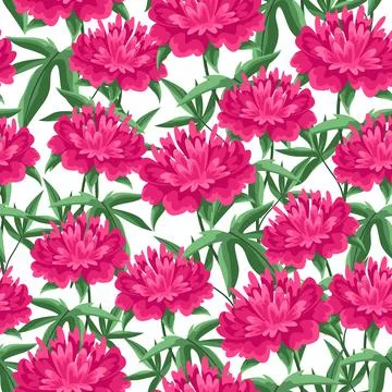 Seamless pattern with peonies flowers. Beautiful decorative spring plants. Illustrazione stock