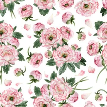Seamless pattern with peonies Stock Illustration