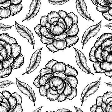 Seamless pattern Peony flower and leaf hand drawn botanical illustration Stock Illustration
