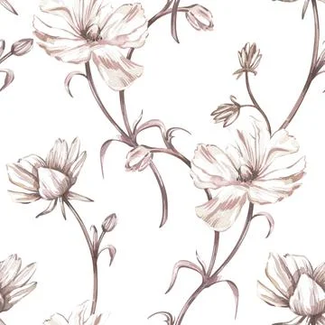 Seamless pattern peony flower isolated on white background. Watercolor hand Stock Illustration