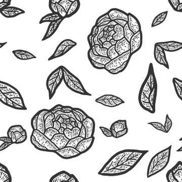 Seamless pattern, peony flower. Sketch scratch board imitation. Black and white. Stock Illustration