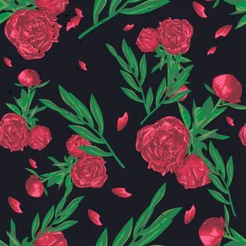 Seamless pattern with peony flowers. Hand drawn vector illustration. Illustrazione stock