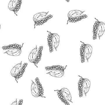 Seamless pattern peppercorn pepper branch sketch hand drawn Stock Illustration
