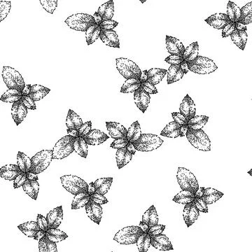 Seamless pattern peppermint mint sketch hand drawn イラスト素材