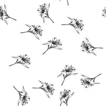 Seamless pattern peruvian astroemeria sketch hand drawn Stock Illustration