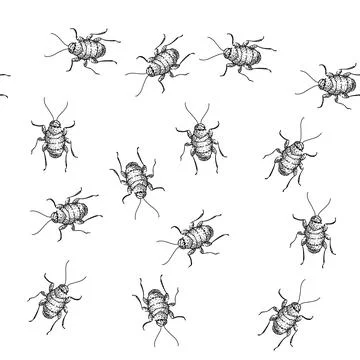 Seamless pattern pest cockroach sketch hand drawn Stock Illustration