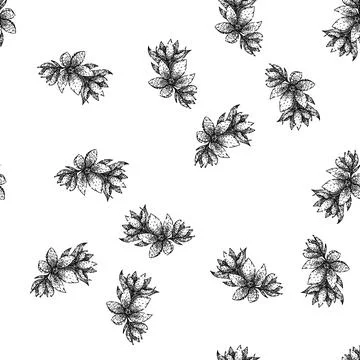 Seamless pattern petal jasmine sketch hand drawn Stock Illustration