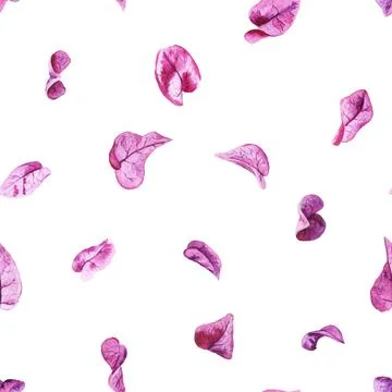 Seamless pattern with petals of bougainvillea Stock Illustration