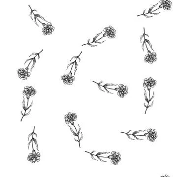 Seamless pattern petals carnation sketch hand drawn Stock Illustration