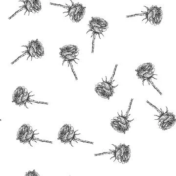 Seamless pattern petals rose flower sketch hand drawn Stock Illustration