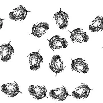 Seamless pattern petals rose sketch hand drawn Stock Illustration