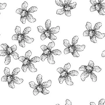Seamless pattern phalaenopsis orchid sketch hand drawn Stock Illustration