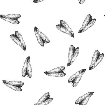 Seamless pattern philodendron tropical leaf sketch hand drawn Stock Illustration