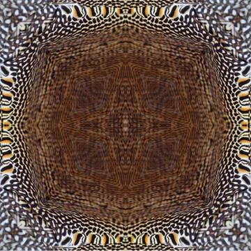 Seamless pattern Stock Photos