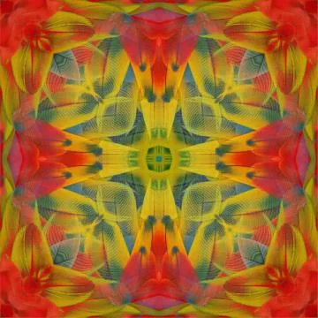 Seamless pattern Foto stock