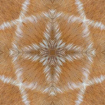 Seamless pattern Stock Photos