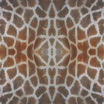 Seamless pattern Stock Photos