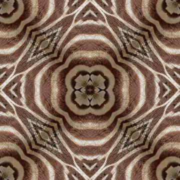 Seamless pattern Stock Photos