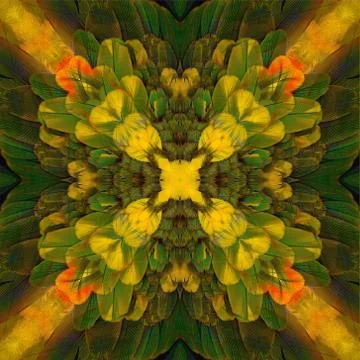 Seamless pattern Foto stock