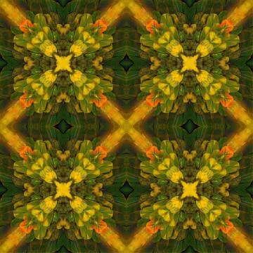 Seamless pattern Stock Photos