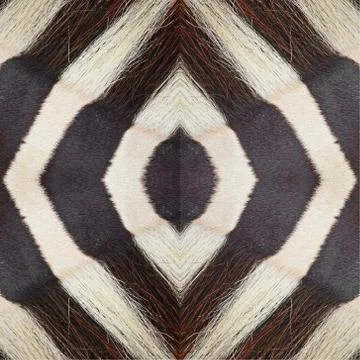 Seamless pattern Stock Photos