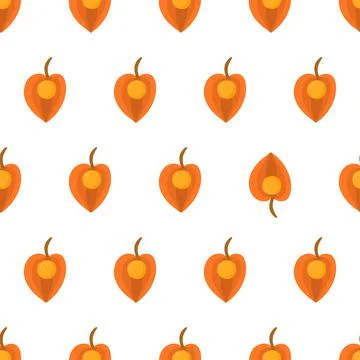 Seamless pattern with physalis, eye catching element. Stock Illustration