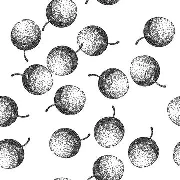 Seamless pattern physalis fruit berry sketch hand drawn Stock Illustration