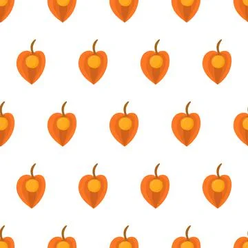 Seamless pattern with physalis. Stock Illustration