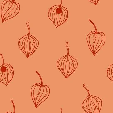 Seamless pattern with physalis lanterns, gold winter cherry. Hand-drawn vec.. 库存插图