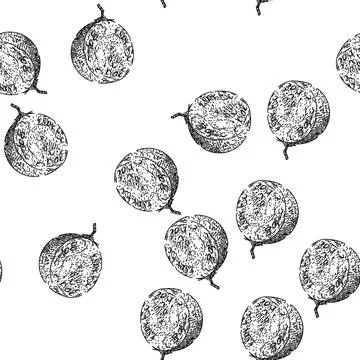 Seamless pattern physalis nature berry sketch hand drawn Stock Illustration