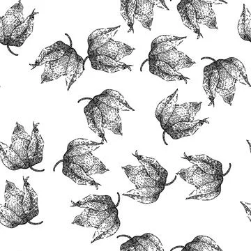 Seamless pattern physalis orange berry sketch hand drawn Illustrazione stock