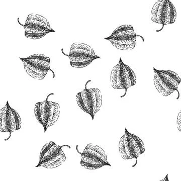 Seamless pattern physalis sweet berry sketch hand drawn Stock Illustration