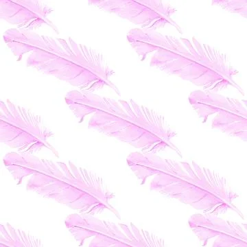 Seamless pattern with pigeon feathers Stock Illustration