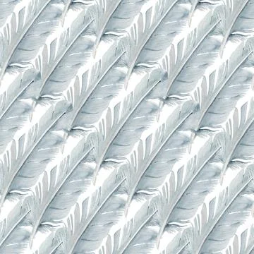 Seamless pattern with pigeon feathers Stock Illustration