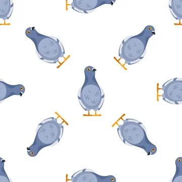 Seamless pattern of pigeons standing and posing on white background Stock Illustration